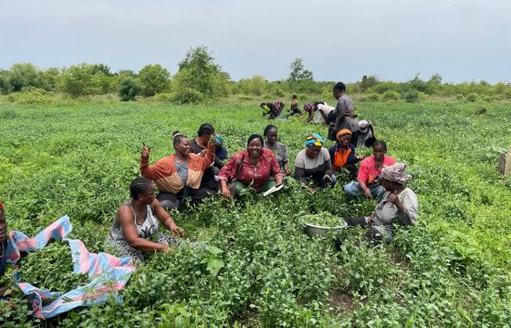 WhatsApp Image 2026-04-07 at 15.23.19